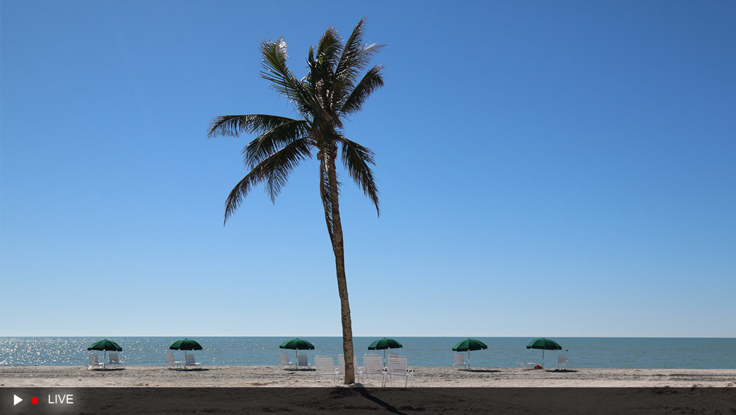 Island Inn Sanibel Beach Cam