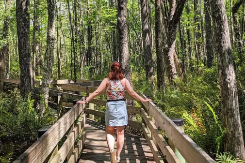 Woman Hike Boardwalk Nature Six Mile Cypress Slough Preserve